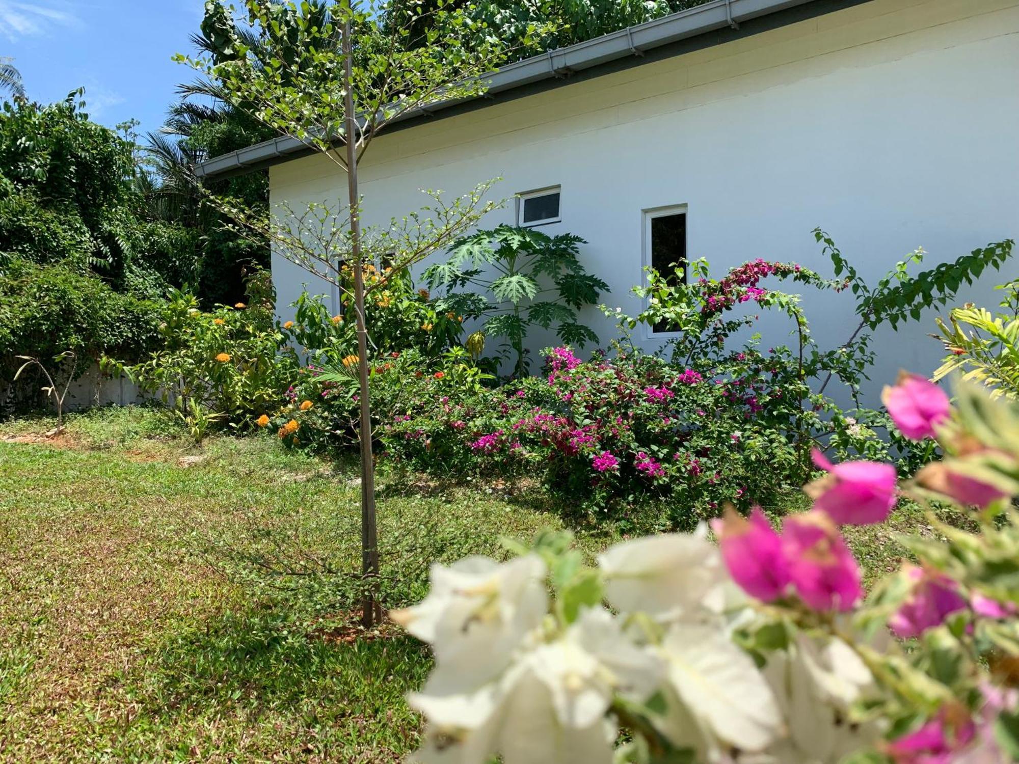 Cloud9 Holiday Cottages ปันไตเจอนัง ภายนอก รูปภาพ